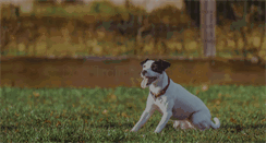 Desktop Screenshot of caninecountry.net